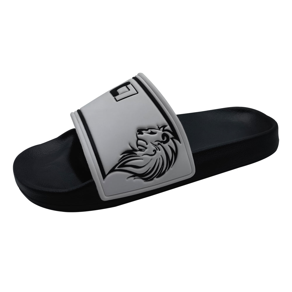 Slides